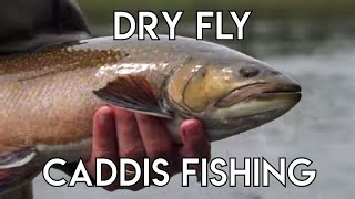 Caddis Dry Fly Tips [upl. by Rufena558]