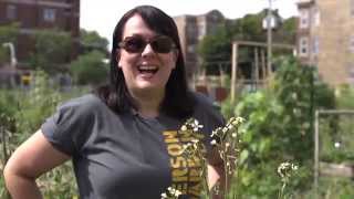 The Garden Minute Harvesting Bolted Arugula [upl. by Alroy643]