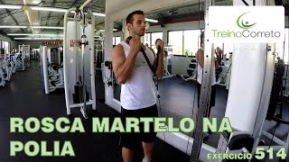 514 ROSCA MARTELO NA POLIA  Treino Correto [upl. by Yrdua82]