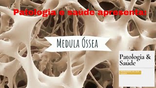 Histologia do Sistema Imune  Medula óssea [upl. by Kenlee]