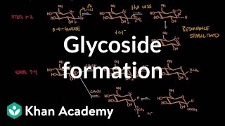 Carbohydrate  Glycoside formation hydrolysis  Chemical processes  MCAT  Khan Academy [upl. by Atinele]