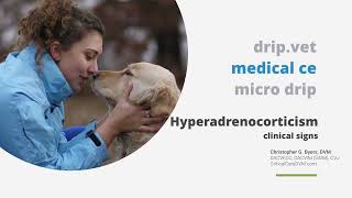 micro drip  Hyperadrenocorticism [upl. by Kay]