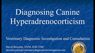 Diagnosing Canine Hyperadrenocorticism [upl. by Caleb]