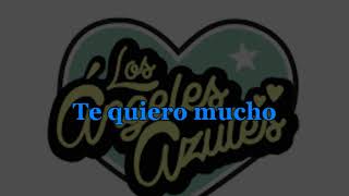 Ay Amor Angeles Azules Karaoke Ritchie´s [upl. by Jillie309]