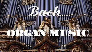 Bach  The Best Organ Music [upl. by Bazar178]