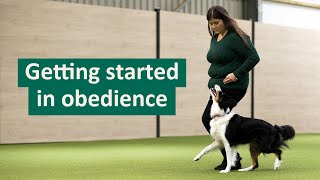 How to get started in Dog Obedience [upl. by Hackney403]