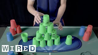 This is FAST Cup Stacking  WIRED [upl. by Akimed692]