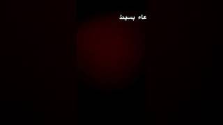 ١٢ فبراير، ٢٠٢٥ [upl. by Enixam]