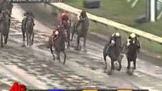 Raw Video Names Make for Hilarious Horse Race [upl. by Nylarej]