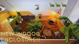 NEW Tortoise Indoor Enclosure 🐢 [upl. by Fredrick]