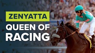 ZENYATTA HORSE RACINGS DANCING QUEEN [upl. by Gilli]