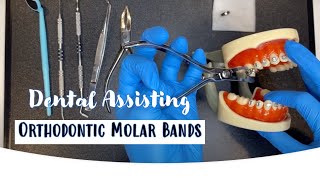 Dental Assisting Removing Orthodontic Molar Bands [upl. by Arzed]