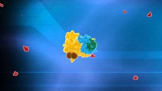 Ubiquitin System Animation  Nobel Prize in Chemistry 2004 Technion [upl. by Jarrid336]