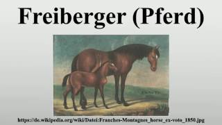 Freiberger Pferd [upl. by Vitalis292]