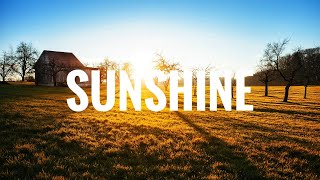 Perdue Farms Sunshine Day Commercial  The Brady Bunch Sunshine Day [upl. by Haeckel]