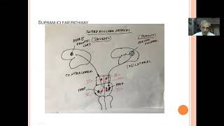 Clinical approach to diplopia [upl. by Mulloy716]