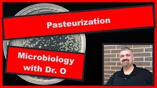 Pasteurization Microbiology [upl. by Einnok]