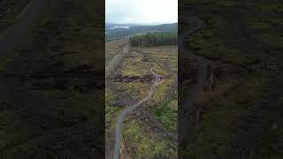 Kielder Forest Bike Hire [upl. by Eceinhoj]