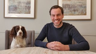 SPRINGER SPANIEL TRAINING TIPS [upl. by Aronel]