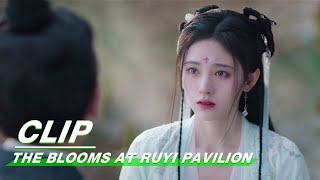 Clip Zhang Zhehan Chooses To Trust Ju Jingyi  The Blooms At RUYI Pavilion EP14  如意芳霏  iQIYI [upl. by Ynamrej871]