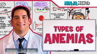 Hematology  Types of Anemias [upl. by Anillehs907]