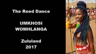 The Zulu Reed dance 2017 [upl. by Winshell]