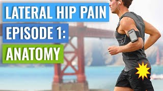 Episode 1  Lateral Hip Pain Anatomy Gluteal Tendinopathy  Bursitis [upl. by Hakan]