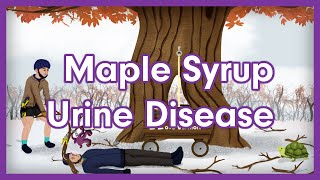 Maple Syrup Urine Disease MSUD  USMLE Step 1 Biochemistry Mnemonic [upl. by Ynotna]