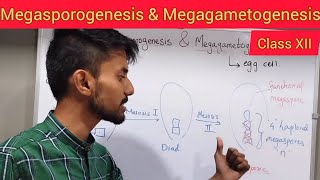 Megasporogenesis and Megagametogenesis  Shivam Oswal [upl. by Arber]