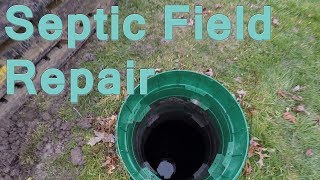 Septic Field Restoration [upl. by Rance]