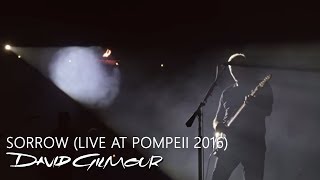 David Gilmour  Sorrow Live At Pompeii [upl. by Corsiglia]