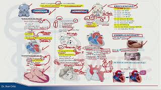 ESI 2019 PEDIATRÍA CARDIOPATÍAS CONGÉNITAS  DR JHON ORTIZ [upl. by Notffilc]