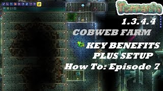 Terraria 1344 HOW TO  Build a Cobweb Farm  Important Benefits  Setup  Episode 7 [upl. by Guglielmo362]