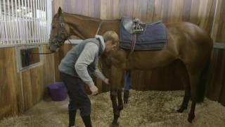 How To Tack Up A Racehorse HorseHowTo [upl. by Mohun]