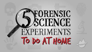 5 Simple CrimeSolving Science Experiments To Do At Home [upl. by Risley]