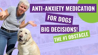 AntiAnxiety Medication for Dogs – The 1 Obstacle to Saying YES [upl. by Drarrej]