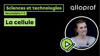 La cellule  Sciences et technologies  Alloprof [upl. by Nerrej]