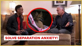 Solving Separation Anxiety  Dog Nation [upl. by Adim478]