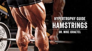 Hypertrophy Guide  Hamstrings  JTSstrengthcom [upl. by Schick]