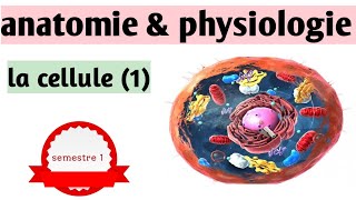 quotcours S1  Anatomie amp physiologiequot la cellule 1 [upl. by Chung494]