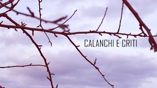 Mimmo Cavallaro  Calanchi e Criti Official Video [upl. by Adirf]