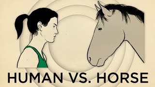 Human Vs Horse Marathon  NPRs SKUNK BEAR [upl. by Alberta]