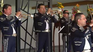 MARIACHI NUEVO TECALITLÁN  LA FERIA DE LAS FLORES [upl. by Asusej900]