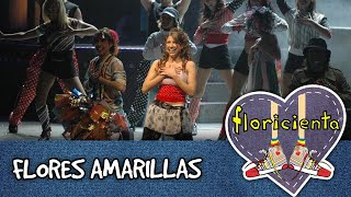 Floricienta Flores Amarillas en vivo en el teatro 2005 [upl. by Zedekiah990]