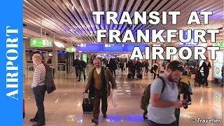 TRANSIT WALK AT FRANKFURT Airport FRA Terminal 1  Connection Flight Transfer Arriving amp Departing [upl. by Ursas]