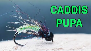 Caddis Pupa Fly Pattern Fly Tying Tutorial [upl. by Ratep]