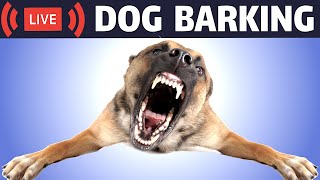 Dog Barking Sound  Dogs Barking Live Bark [upl. by Anilocin]