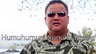 How To Speak Hawaiian [upl. by Ahsitaf]