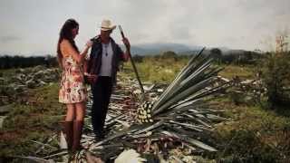 Hijos De Barron  Mi Pequeño Mundo Video Oficial 2014 [upl. by Pooley]