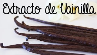 EXTRACTO DE VAINILLA CASERO DOS INGREDIENTES  DANI FLOWERS [upl. by Annekam677]